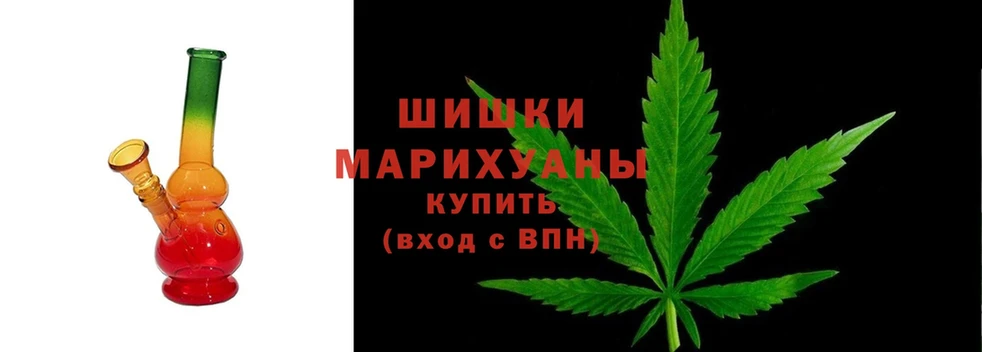 Бошки Шишки White Widow  продажа наркотиков  Бородино 